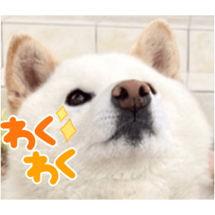 雑だけど可愛いスタンプ