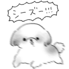 シンプル シーズー 日常会話