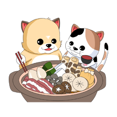 ぷちゃこにかけるいたわりの言葉