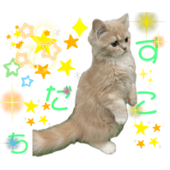 ☆おいもちゃん☆2