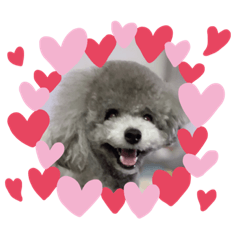 ムームスタンプ3