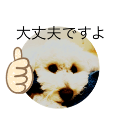 絵や犬の写真、アバターのスタンプ