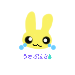 うさぎだって