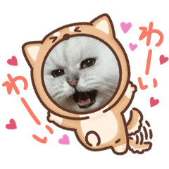 みぃくんのスタンプ♥︎