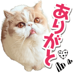 【修正版】エキゾたちの日常スタンプ01