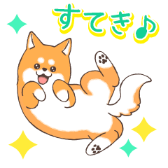 毎日かわいい柴わんこ