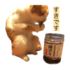 ねこズよく使うフレーズ