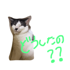 ちいちゃんやまとむぎだいちゃん