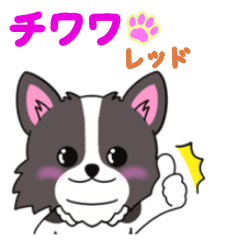 ホワイト&ブラックチワワちゃんのご挨拶