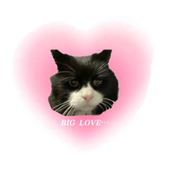 すずスタンプなんですよね