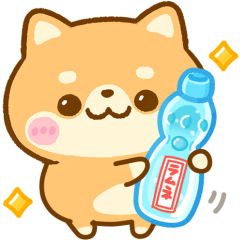 夏の気遣い♡豆柴日和