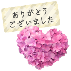 飛び出す♡大人の気遣い敬語〜紫陽花〜
