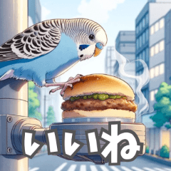 セキセイインコ（冬）