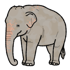 象さんのスタンプ！