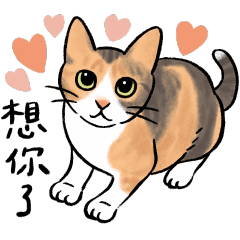 CHUCHU and OO we are family