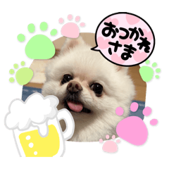 コロンのあいさつ(greeting)