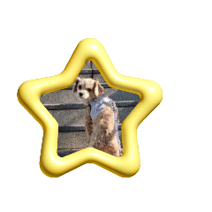 レオンスタンプ2023