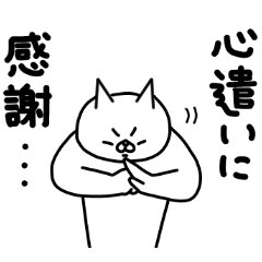 全力ねこ誠心誠意まっすぐ編