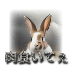 動物フォントのステッカー