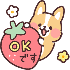 まるまるコーギー29 春！