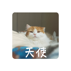 きぬ#1-5総集編 Part1