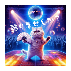 踊りませんか？猫