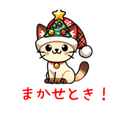 シャム猫　クリスマス　帽子　ららら