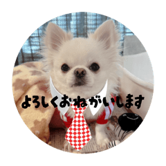 ぼくもっちゃんです