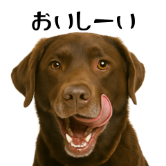 毎日使える!チョコラブの日常・透過版