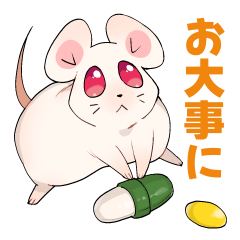 For the medical Staff 2