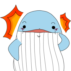 The daily life of the curly whale