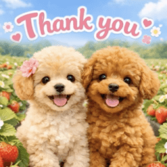 飛び出す♡春トイプー