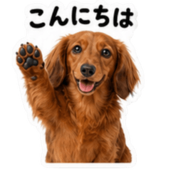 ダックスといつも一緒！Ver.1