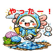 雨の日のウーパールーパー