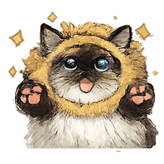Doodle Ragdoll cat