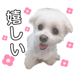 はなともものスタンプ