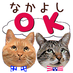 仲良し猫の写真スタンプ