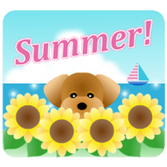 かわいい♪トイプードル5