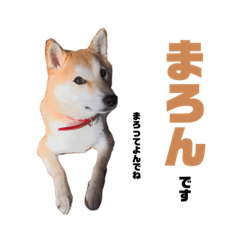 しばいぬまろん