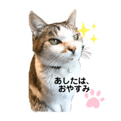 たからもの2020の②