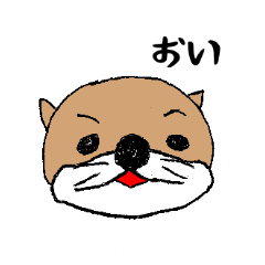 たぬきじゃないよラッコだよ