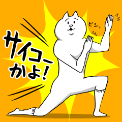 お前の事をとにかくツッコミたいねこ