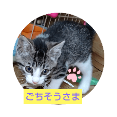 くるくるぐるぐる