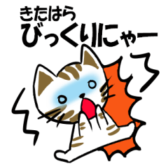 トラ猫北原のキュートで可愛いスタンプ登場