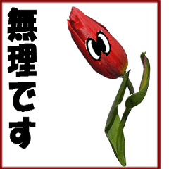 動く花-3、よく使う言葉