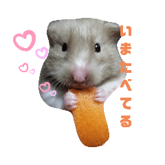 メルメリーハムズスタンプNo.1