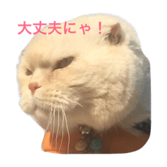 ブルボンにゃ！