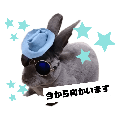 うさぎのムース日常使い少し丁寧なスタンプ