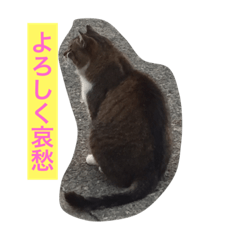 港町のまる その1