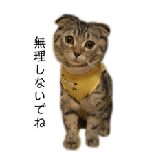 スコのちーちゃん4